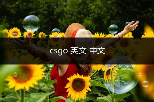 csgo 英文 中文