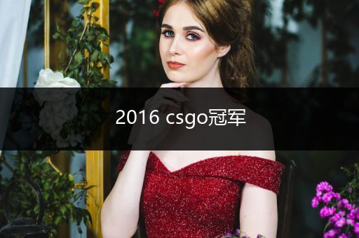 2016 csgo冠军