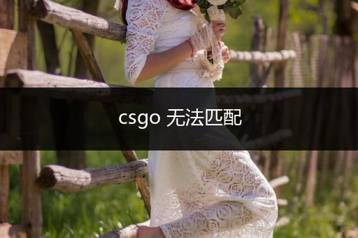 csgo 无法匹配