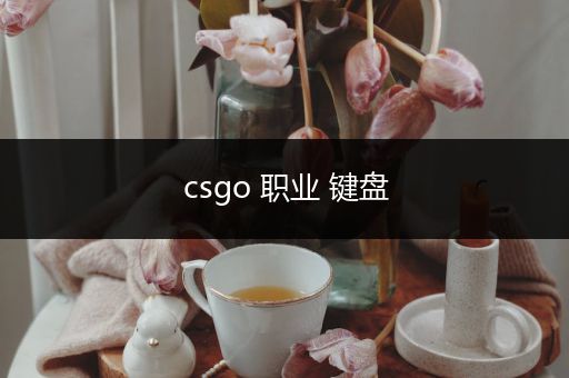 csgo 职业 键盘