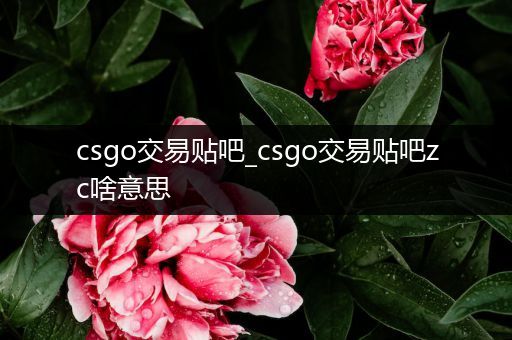 csgo交易贴吧_csgo交易贴吧zc啥意思