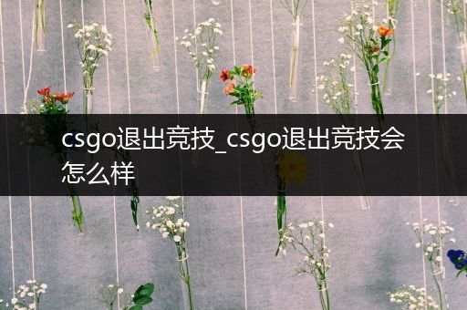 csgo退出竞技_csgo退出竞技会怎么样