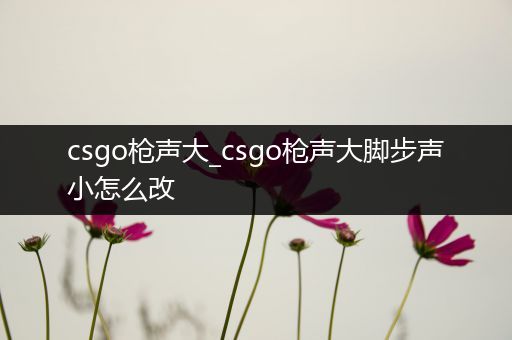 csgo枪声大_csgo枪声大脚步声小怎么改