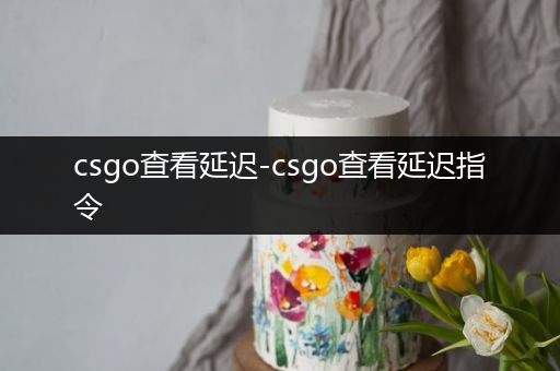 csgo查看延迟-csgo查看延迟指令