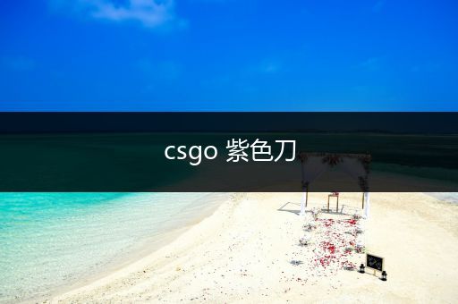 csgo 紫色刀