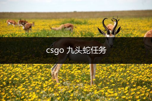 csgo 九头蛇任务