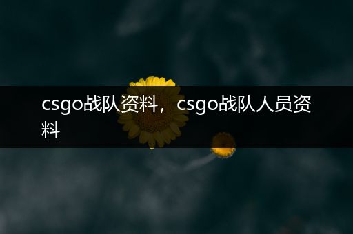 csgo战队资料，csgo战队人员资料