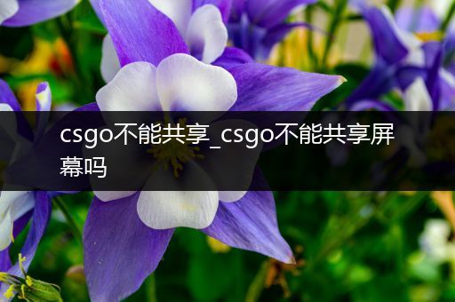 csgo不能共享_csgo不能共享屏幕吗