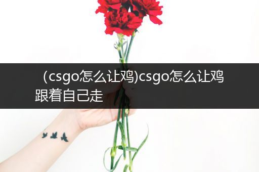 （csgo怎么让鸡)csgo怎么让鸡跟着自己走