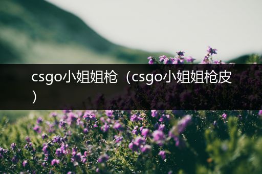 csgo小姐姐枪（csgo小姐姐枪皮）