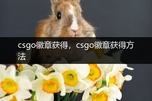 csgo徽章获得，csgo徽章获得方法