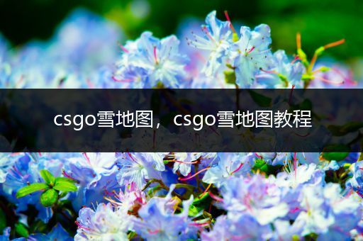 csgo雪地图，csgo雪地图教程