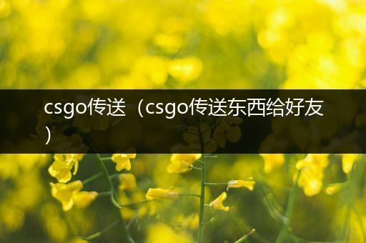 csgo传送（csgo传送东西给好友）