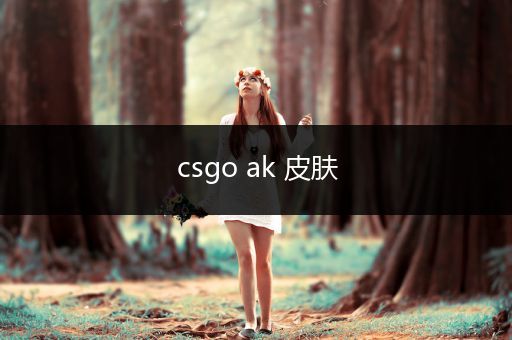 csgo ak 皮肤