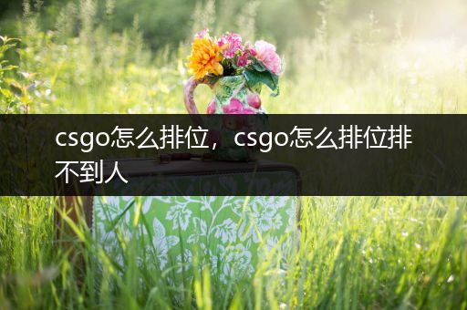 csgo怎么排位，csgo怎么排位排不到人