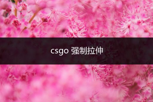 csgo 强制拉伸