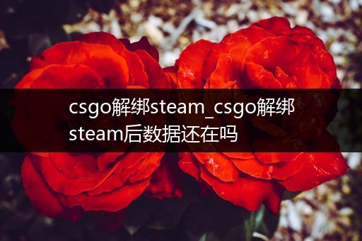 csgo解绑steam_csgo解绑steam后数据还在吗