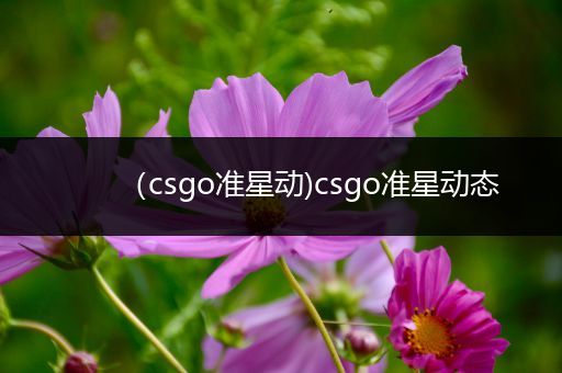 （csgo准星动)csgo准星动态