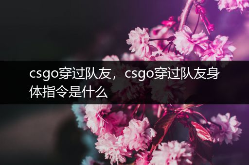 csgo穿过队友，csgo穿过队友身体指令是什么