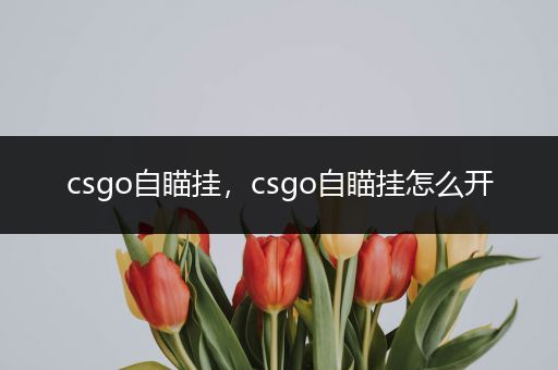 csgo自瞄挂，csgo自瞄挂怎么开