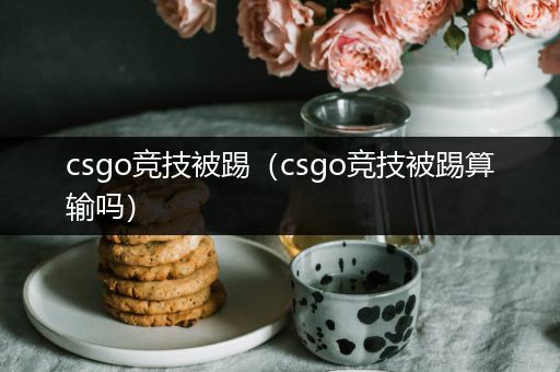 csgo竞技被踢（csgo竞技被踢算输吗）