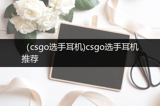 （csgo选手耳机)csgo选手耳机推荐