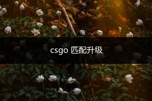 csgo 匹配升级