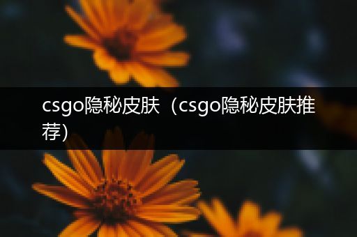 csgo隐秘皮肤（csgo隐秘皮肤推荐）