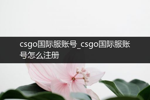 csgo国际服账号_csgo国际服账号怎么注册