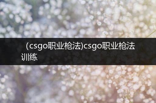 （csgo职业枪法)csgo职业枪法训练