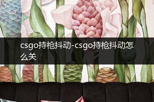 csgo持枪抖动-csgo持枪抖动怎么关