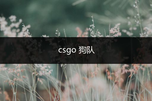 csgo 狗队