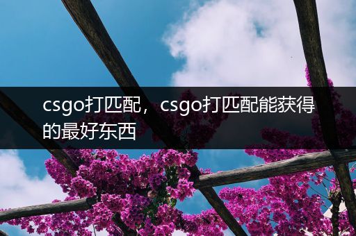 csgo打匹配，csgo打匹配能获得的最好东西