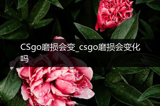 CSgo磨损会变_csgo磨损会变化吗