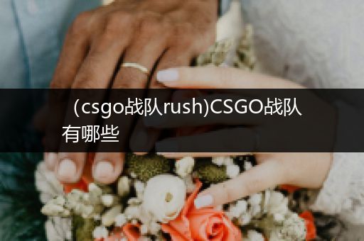 （csgo战队rush)CSGO战队有哪些