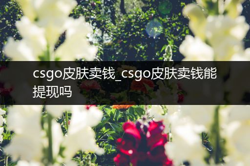 csgo皮肤卖钱_csgo皮肤卖钱能提现吗