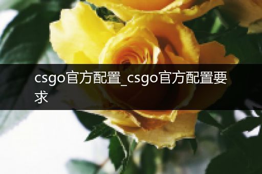 csgo官方配置_csgo官方配置要求