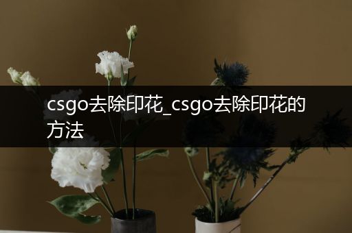 csgo去除印花_csgo去除印花的方法