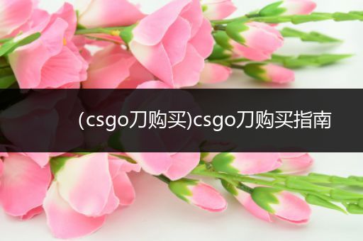 （csgo刀购买)csgo刀购买指南