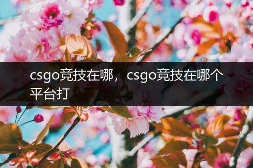 csgo竞技在哪，csgo竞技在哪个平台打