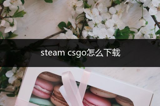 steam csgo怎么下载