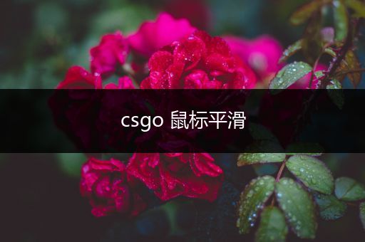 csgo 鼠标平滑