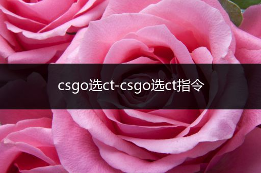 csgo选ct-csgo选ct指令