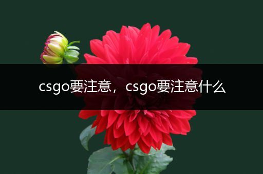 csgo要注意，csgo要注意什么