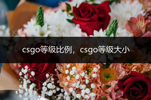 csgo等级比例，csgo等级大小