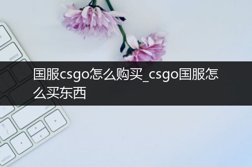 国服csgo怎么购买_csgo国服怎么买东西