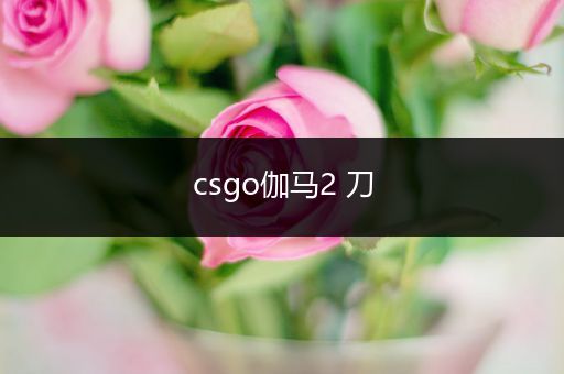 csgo伽马2 刀