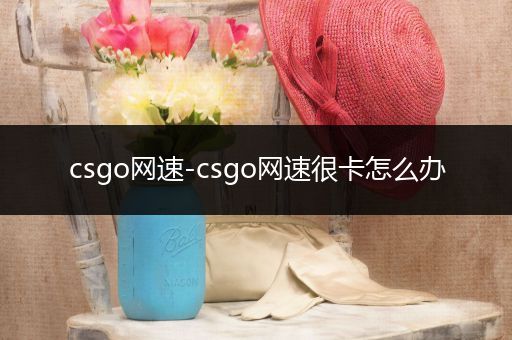 csgo网速-csgo网速很卡怎么办