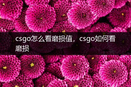 csgo怎么看磨损值，csgo如何看磨损