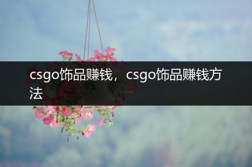 csgo饰品赚钱，csgo饰品赚钱方法